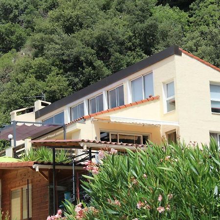 Mas Solar D'En Malcion Villa Amélie-les-Bains-Palalda Eksteriør bilde