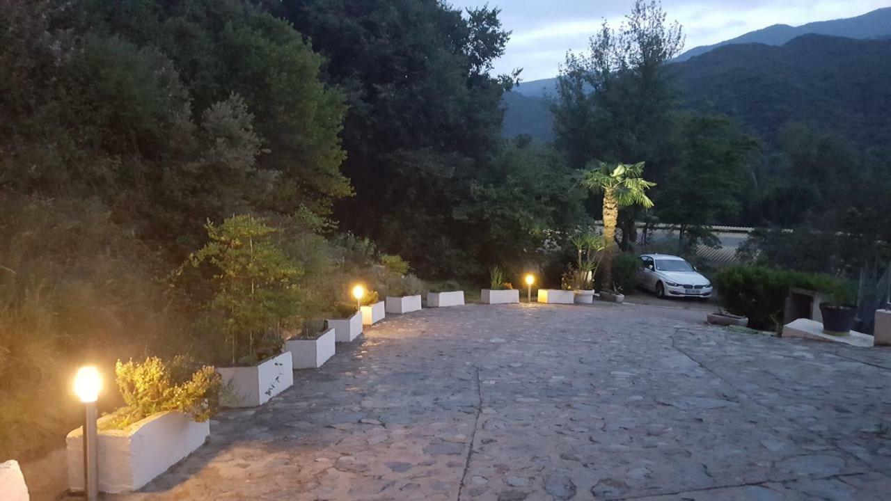 Mas Solar D'En Malcion Villa Amélie-les-Bains-Palalda Eksteriør bilde