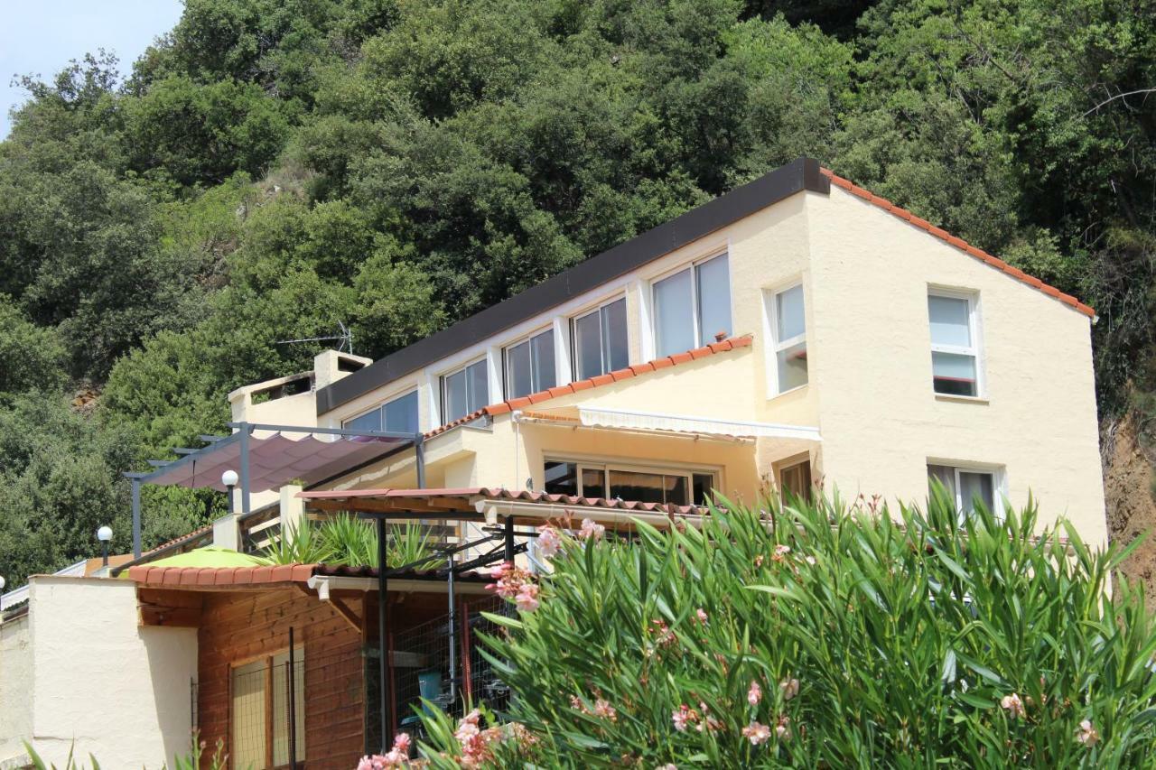 Mas Solar D'En Malcion Villa Amélie-les-Bains-Palalda Eksteriør bilde