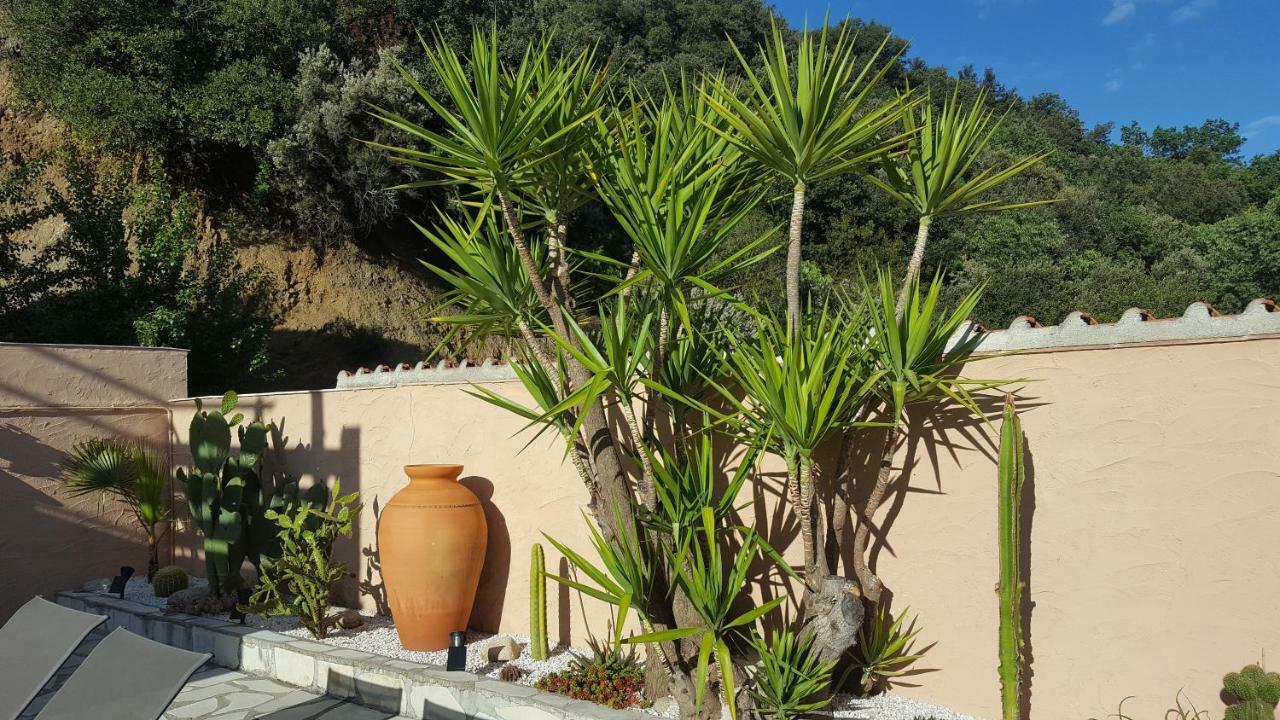 Mas Solar D'En Malcion Villa Amélie-les-Bains-Palalda Eksteriør bilde